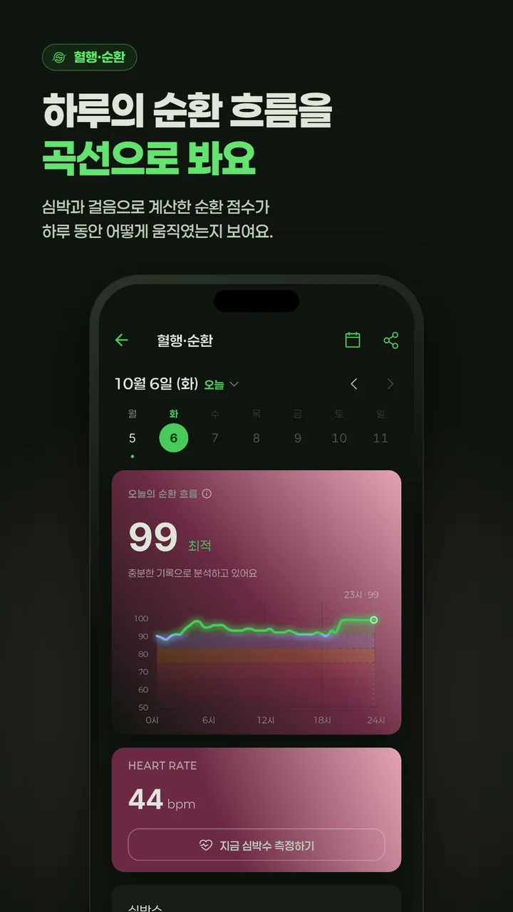 혈행·순환 — 하루의 순환 흐름을 곡선으로 봐요.